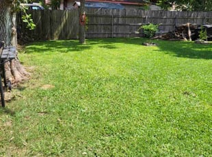 Jayson S.'s Lawn Service service result