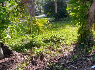 Cleanups by Rupert Mclendon for Amy V. in Tampa, FL