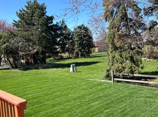 Kimberly k.'s Lawn Service service result