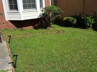 Bush Trimming by Joshua Walker for Octavius G. in Lithonia, GA