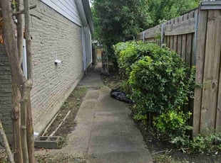 Bush Trimming by Manuel Solis Soto for Sarah H. in Garland, TX