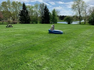 Katsuhiro H.'s Lawn Care service result