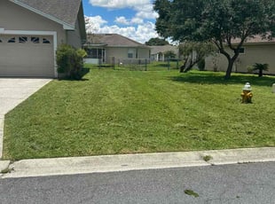nancy g.'s Lawn Service service result