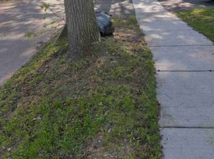 Leaf Removal by Ebonisha Thomas for Megan C. in Rochester, NY