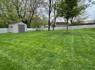 Cynthia M.'s Lawn Mowing service result