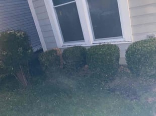 Bush Trimming by Jacquel Johnson for Angela L. in Louisville, KY