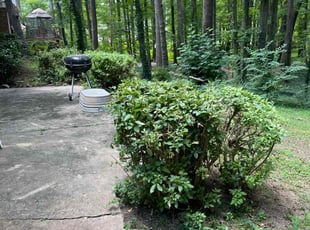 Bush Trimming by Jermaine Huguley for Debra T. in East Point, GA