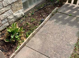 Weeding by Kelvin Dertz for Joshua K. in Milwaukee, WI