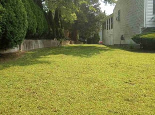 Charles K.'s Grass Cutting service result