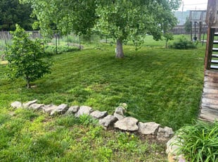 Steven A.'s Lawn Mowing service result