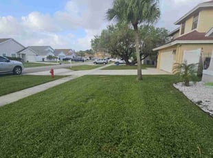 Andrea R.'s Lawn Mowing service result