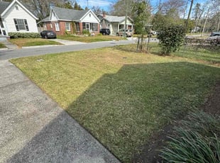 Weeding by Oscar Cantos for Brittany R. in Jacksonville, FL