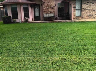 Lorenzo N.'s Lawn Mowing Service service result