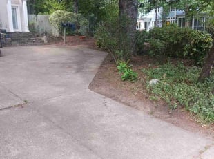 Bush Trimming by Jazzmin Earl for Scott J. in Atlanta, GA