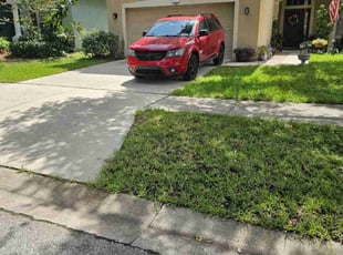 Leaf Removal by Orlando Powell for Stephanie C. in Riverview, FL