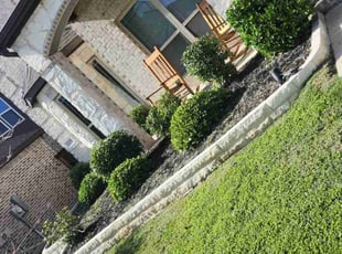 Bush Trimming by Ricardo Soto for Bei N. in Aubrey, TX