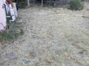Leaf Removal by Yolanda Alvarado for Samuel M. in Muscoy, CA