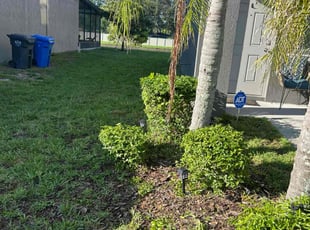 Bush Trimming by Corey Johnson for Claudia H. in Ruskin, FL