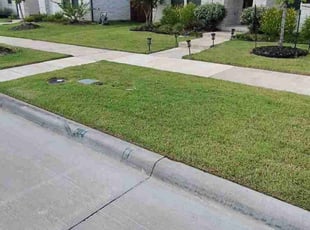 Cindy S.'s Lawn Maintenance service result