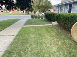 Craig C.'s Lawn Care service result