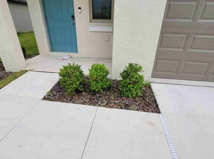 Bush Trimming by Edgar Ramos for Xavier L. in Ruskin, FL