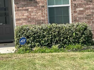 Bush Trimming by Jacob Clay for Elyssa L. in Cibolo, TX