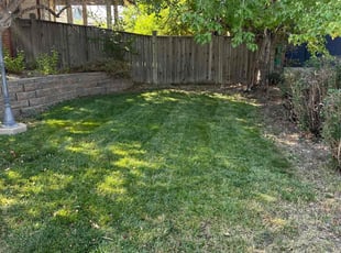 Cathy F.'s Lawn Care service result