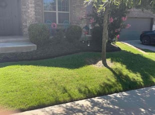 Bush Trimming by Samuel Fogg for Kelly M. in Denton, TX