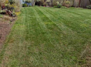 Deepak M.'s Grass Cutting service result