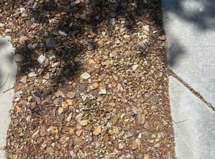Leaf Removal by Kareem Barakat for Leicey J. in Henderson, NV