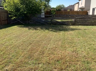 Cleanups by Stanmore Hinds for Nhung N. in San Antonio, TX