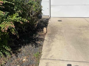 Bush Trimming by Jason Bernal for Reed M. in Austin, TX