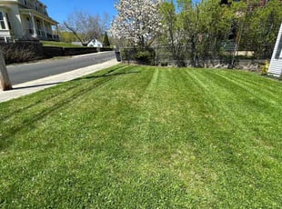 Nancy D.'s Yard Cutting service result