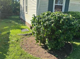 Weeding by Justin Norris for Kevin L. in Chesapeake, VA