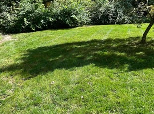 Kenneth R.'s Lawn Service service result