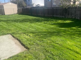 Michael K.'s Grass Cutting service result