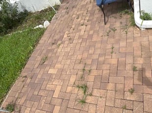 Weeding by Patrick Paul for Meghal P. in Clermont, FL