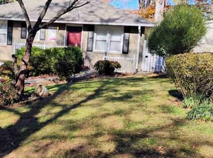 enrique p.'s Lawn Care service result