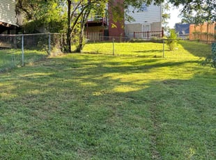 Dustin B.'s Lawn Mowing service result