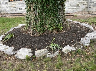 Weeding by Evans Ogamba for Omer K. in Harrisburg, PA