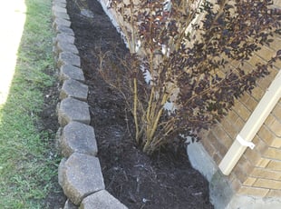 Weeding by Luis Cortes for Gena L. in Mesquite, TX