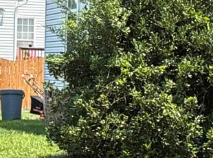 Weeding by Brandon Munz for Darryl B. in Chesterfield, VA