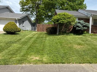 Elijah S.'s Yard Cutting service result