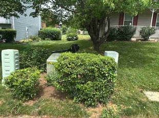 Bush Trimming by Icaro Dos Santos for Megan C. in Frederick, MD
