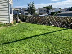 Deborah F.'s Lawn Care service result
