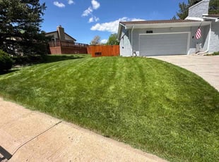Cleanups by Jason Hernandez for Cynthia W. in Littleton, CO