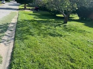 Peter O.'s Lawn Maintenance service result