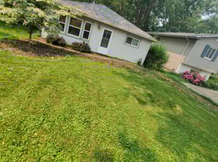 Weeding by Tyler Stewart for Michael B. in Mentor, OH