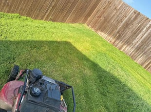 Cleanups by Patrick Stewart for Wendy S. in Princeton, TX