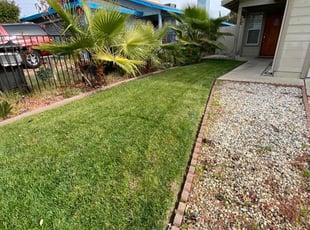 Ms. Johnson J.'s Lawn Maintenance service result